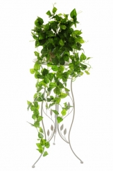 021 Veštaćke lozice   